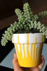 DIY Painted Pot