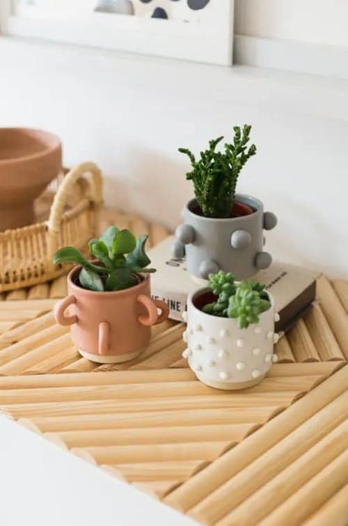 No-Money Home Decor Ideas With Indoor Plants