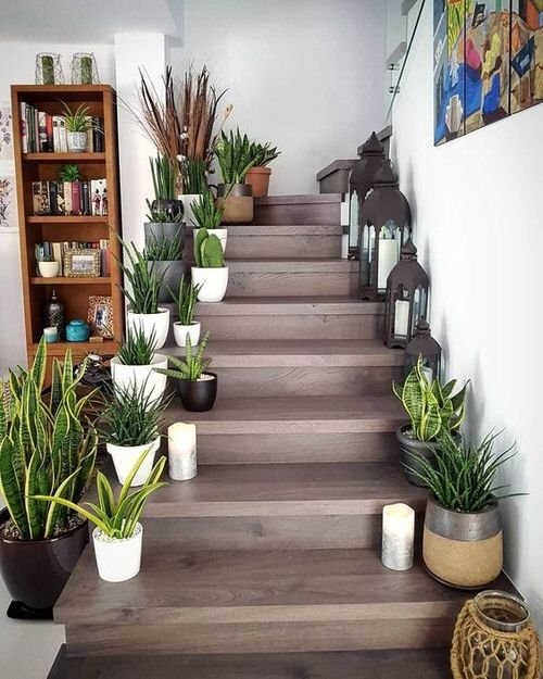 99 Great Ideas to Display Houseplants | Indoor Plants Decoration 14