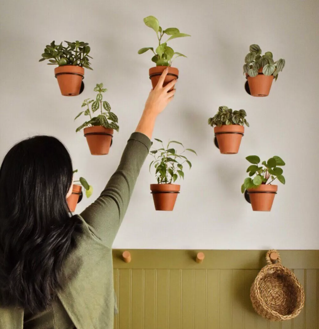 plants floating on walls