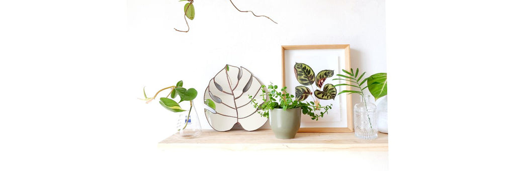 Botanical decor for shelves