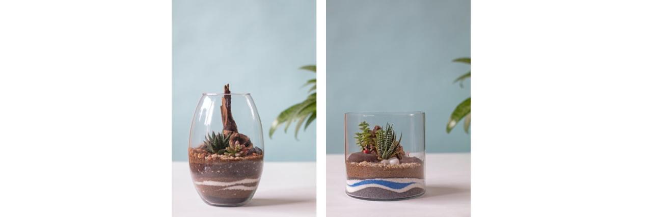 How to create a wall mounted terrarium 