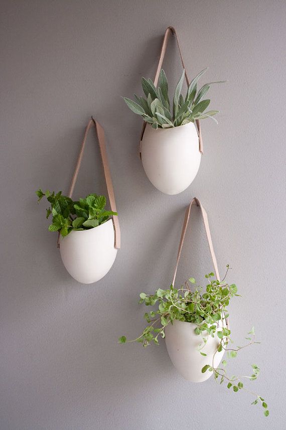 20-hanging-planter-ideas-for-home4