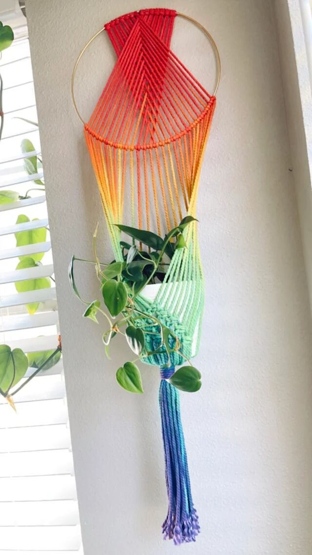 25 Houseplants That Look Great When Grown in Macrame Plant Hangers - 141