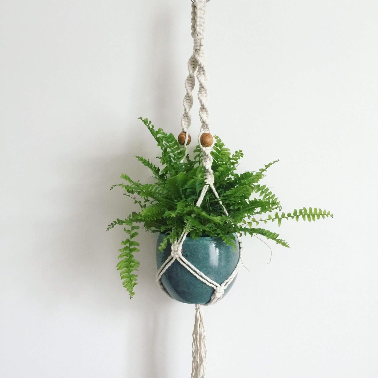 25 Houseplants That Look Great When Grown in Macrame Plant Hangers - 143