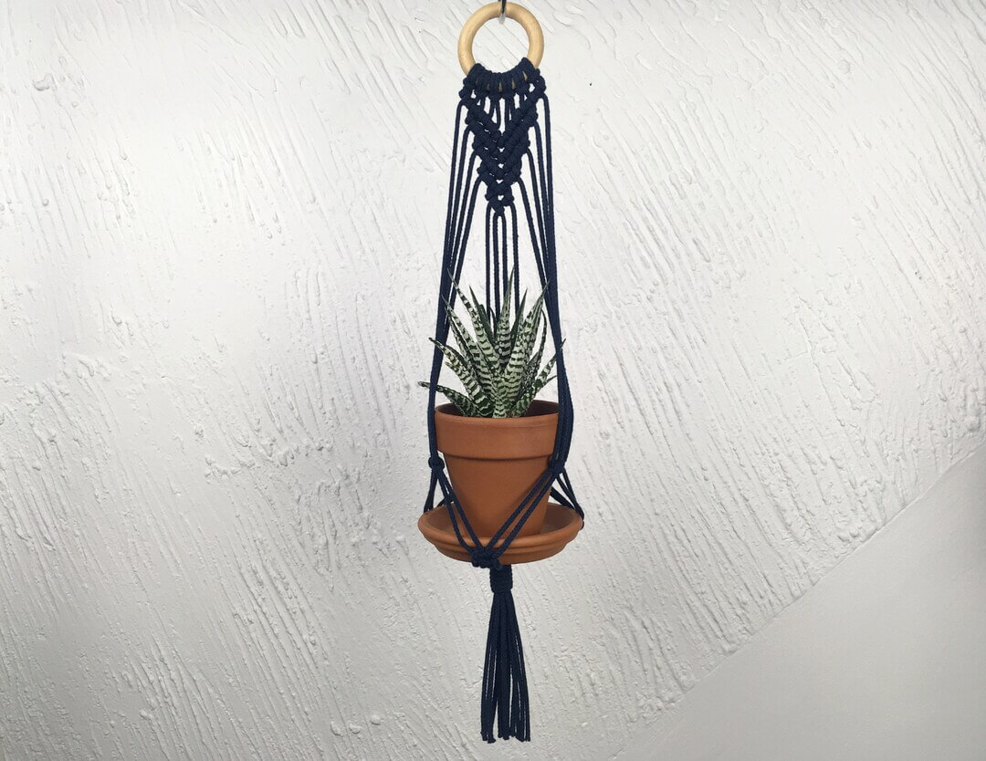 25 Houseplants That Look Great When Grown in Macrame Plant Hangers - 169