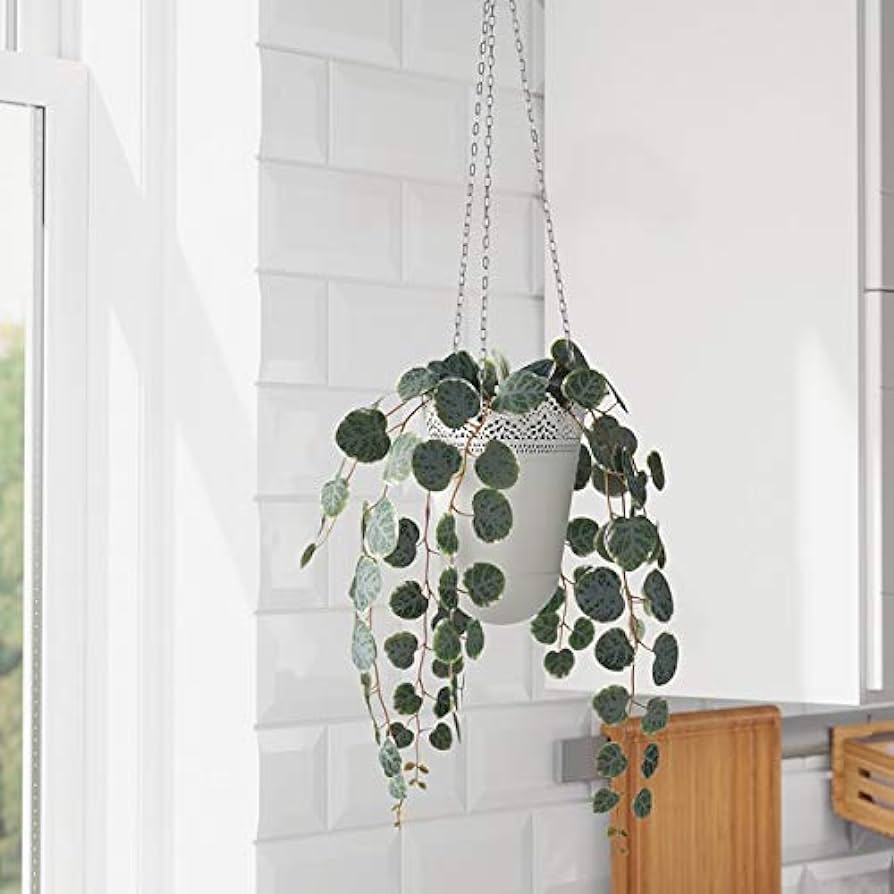 Amazon.com: NA2 Artificial Ceropegia woodii String Hearts String Heart Hanging Potted Plant Indoor Outdoor Home Decoration: Home & Kitchen