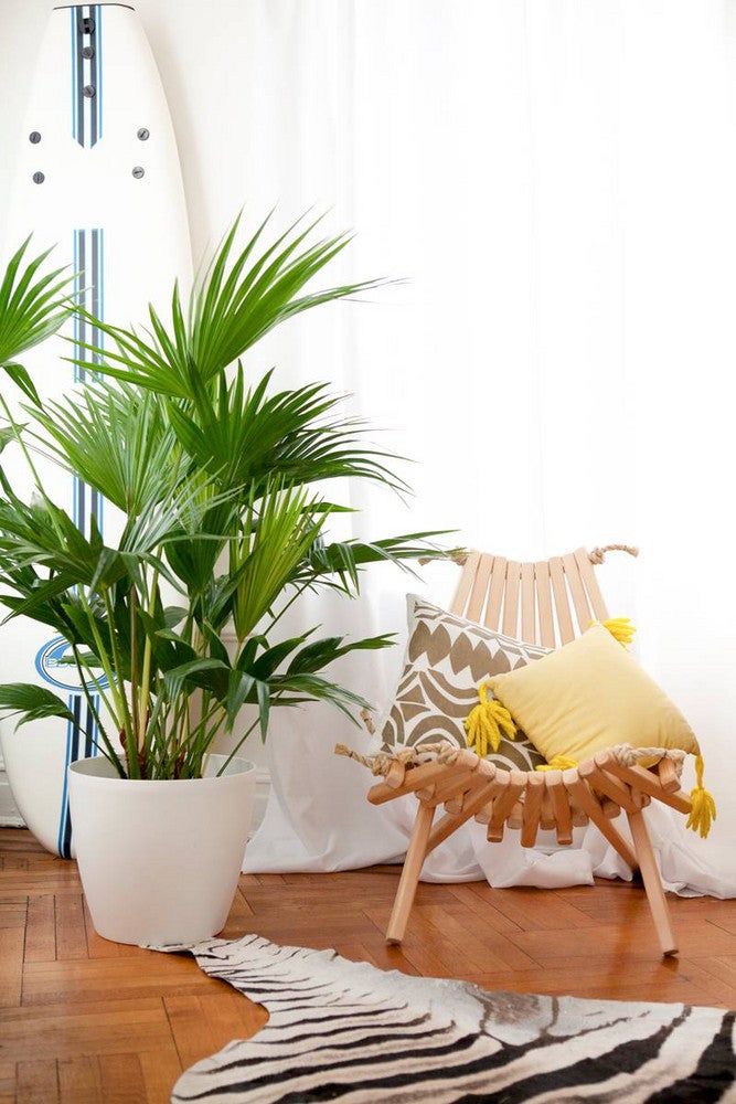 wood chair with zebra rug and plant