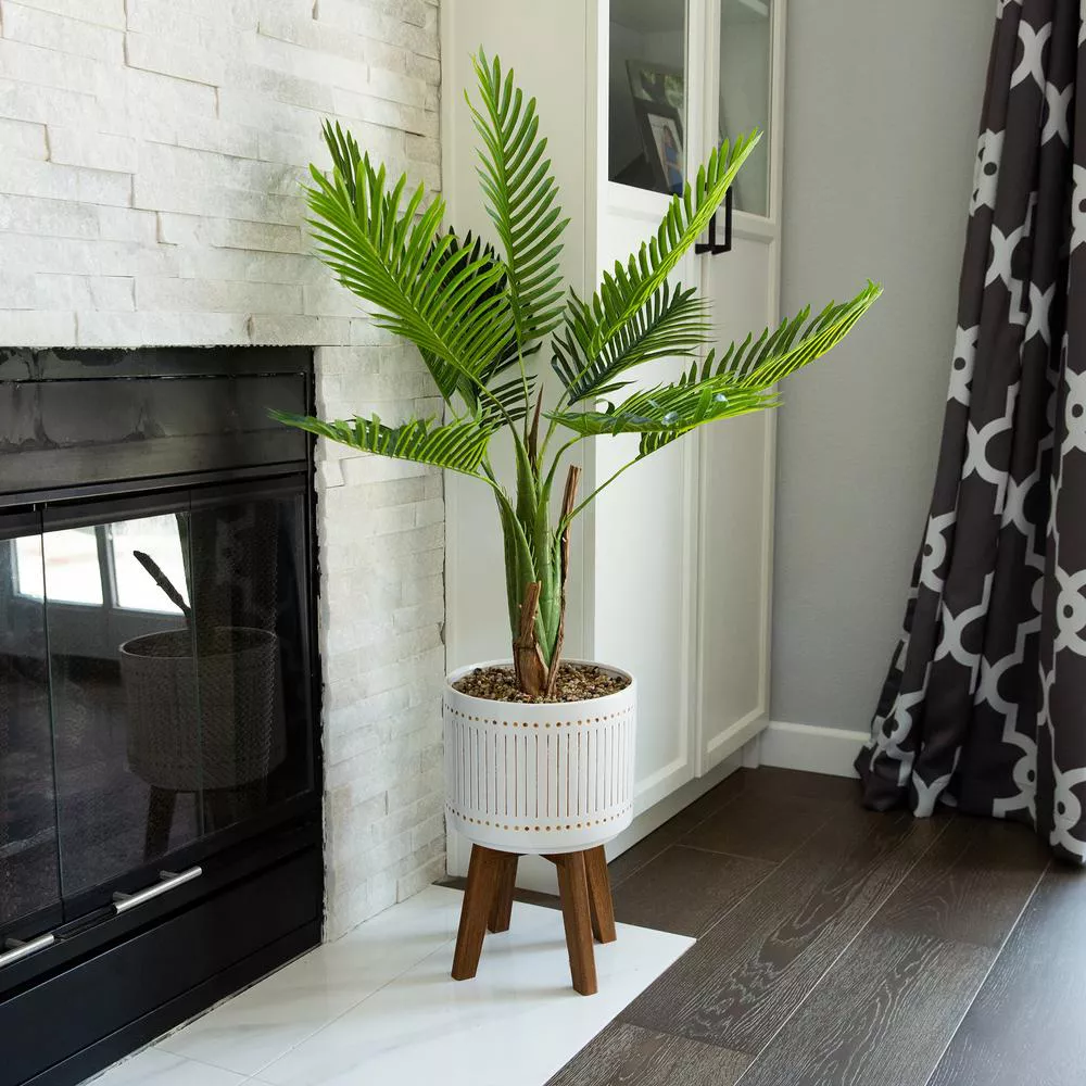 Areca Palm