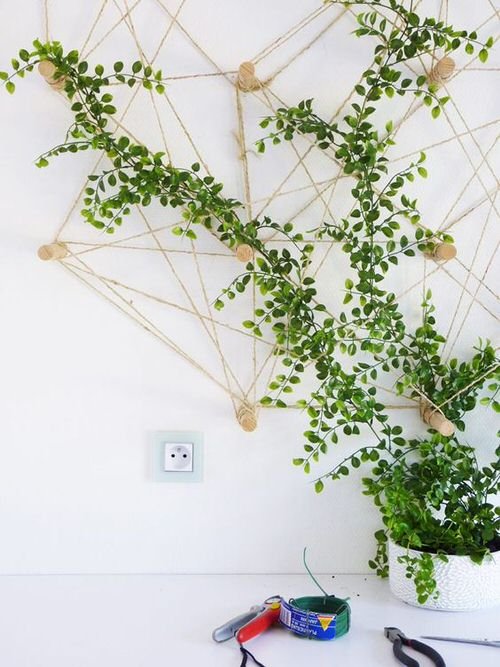 DIY Ladder & Trellis Ideas for Houseplants 3