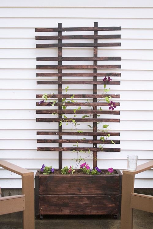 DIY Ladder & Trellis Ideas for Houseplants 4