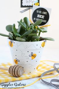 Plant Pot Ideas