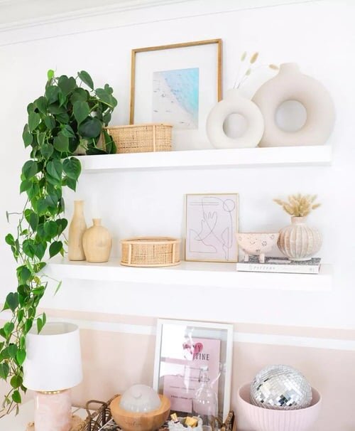 Intelligent Tips to Vine Trailing Houseplants on Walls 3