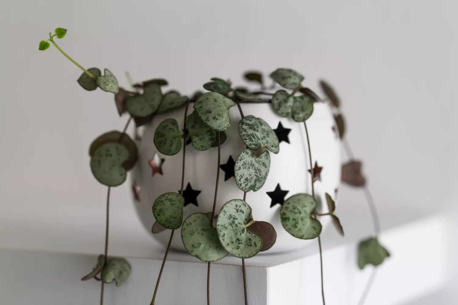 string of hearts