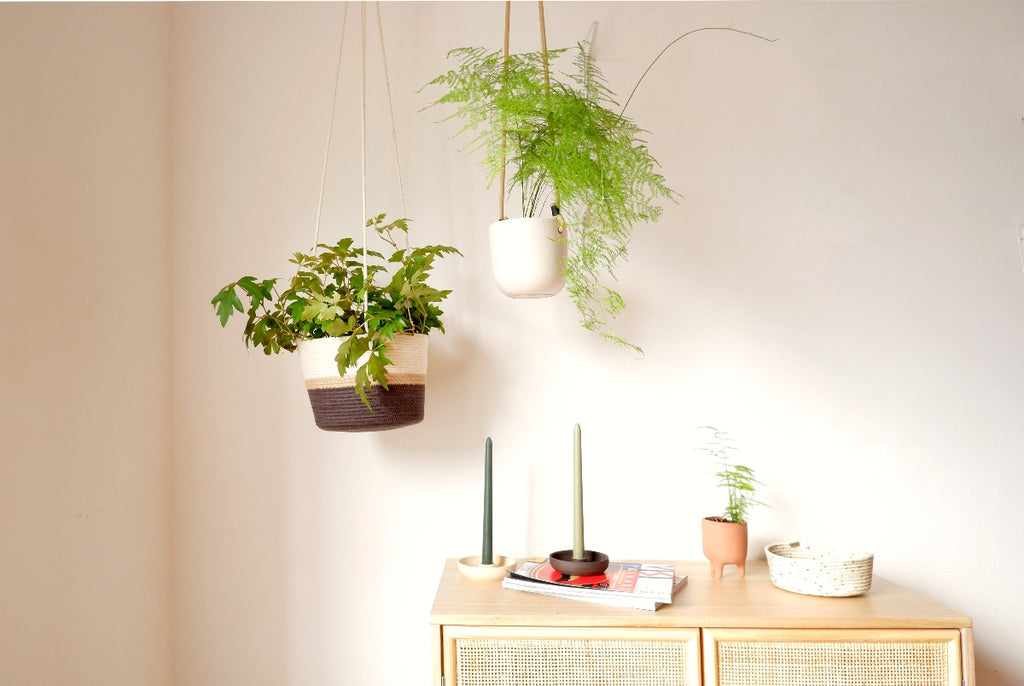 Hanging plant holders