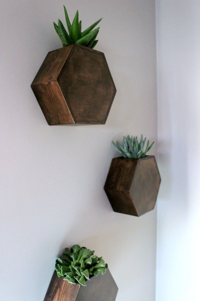 Hexagon-wall-planter