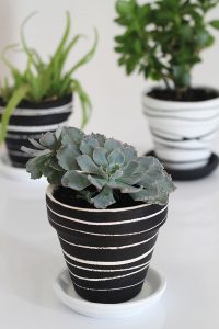 DIY Plant Pot