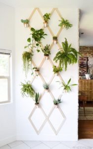 Tropical Indoor Plant Decorating Ideas