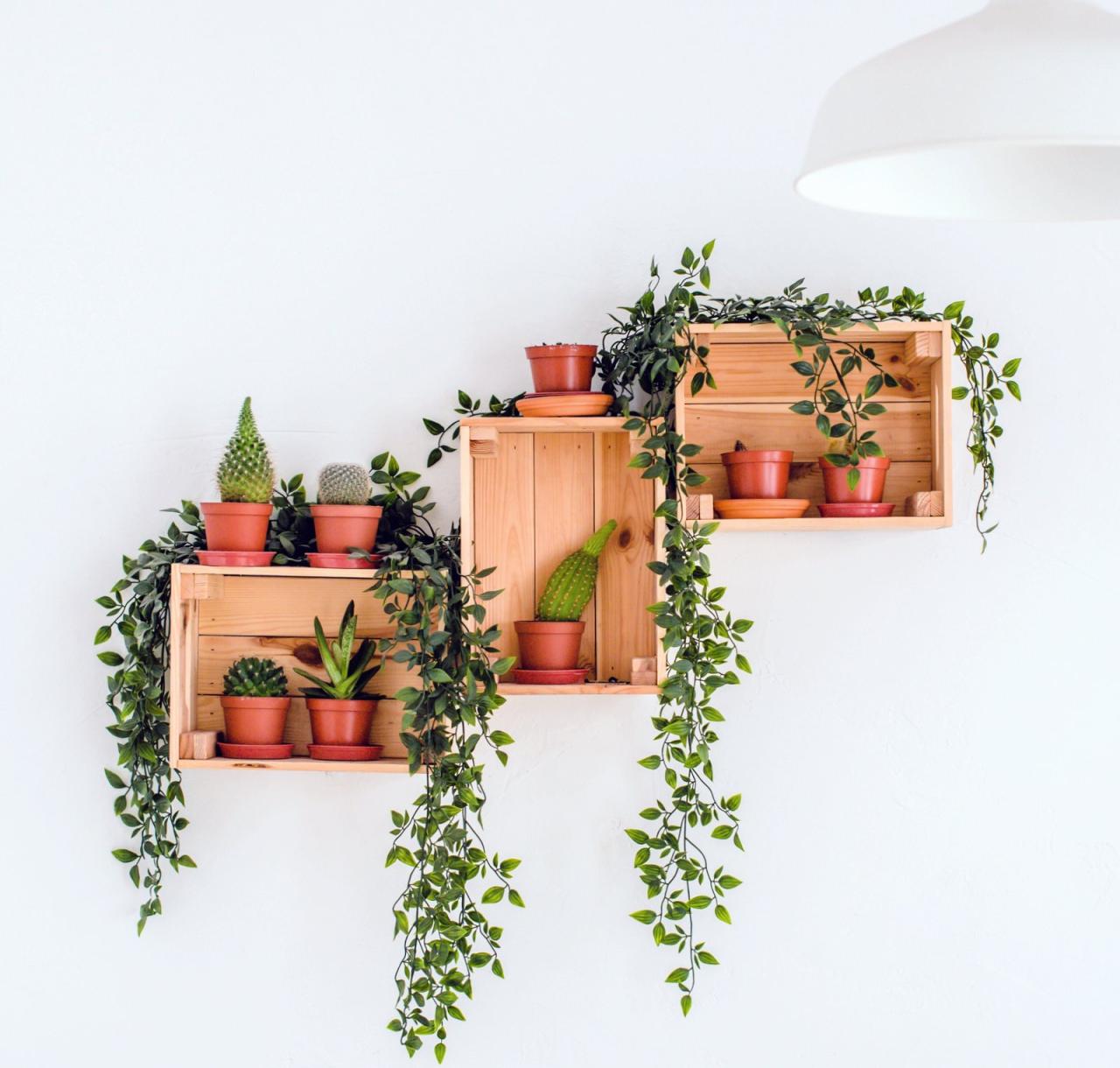 Indoor plants decorating: White wall decoration with cactus in a pot