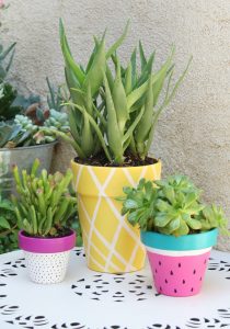 Painted Pot Ideas