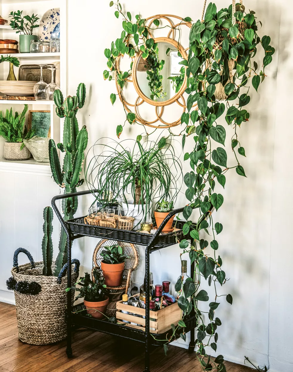 Houseplants with a round mirror and bar cart