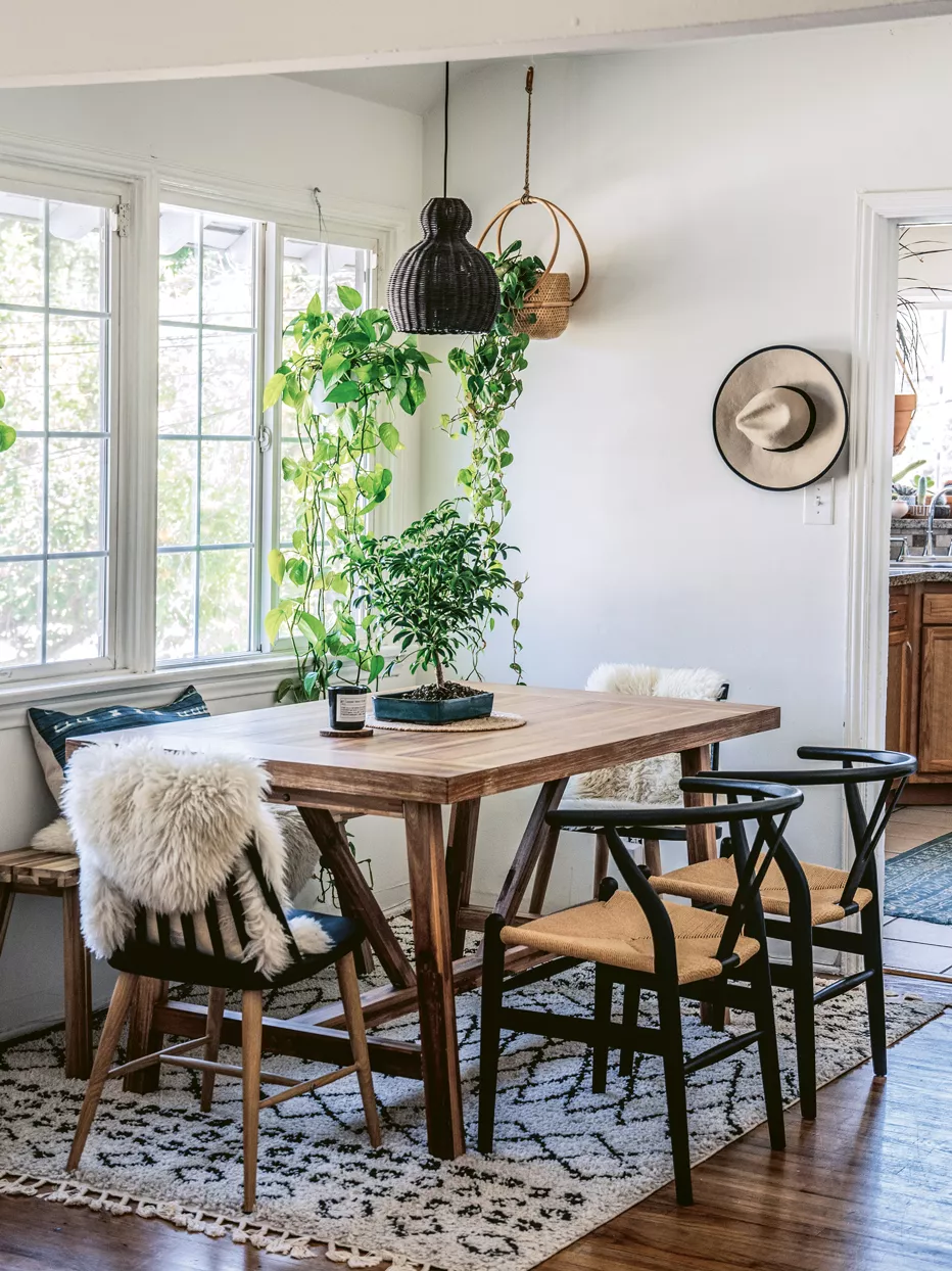 Houseplants in a dining room near a window