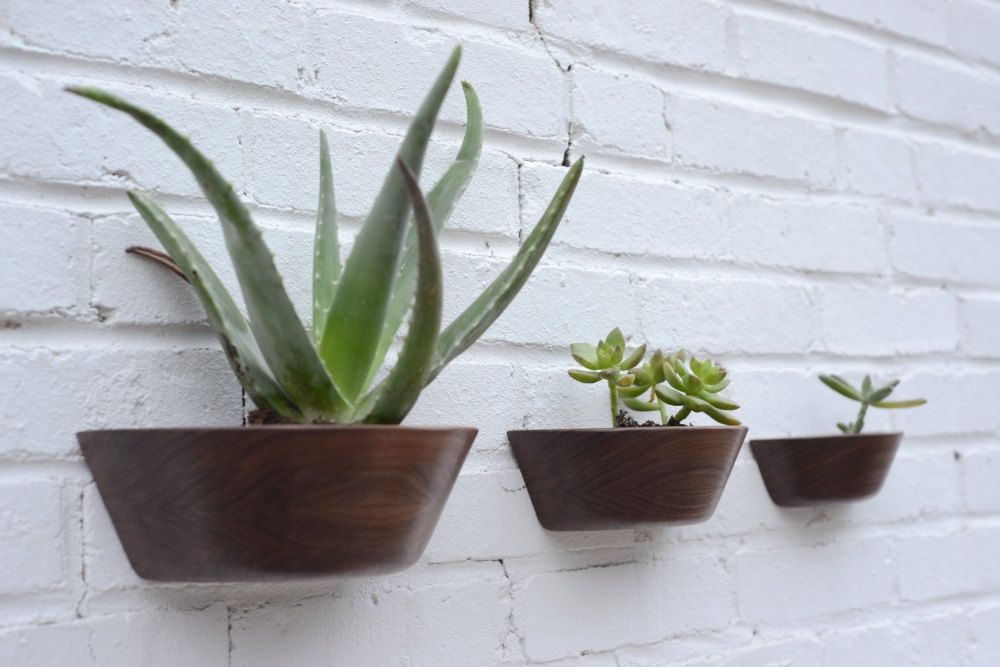 Wall-mounted-cactus-planter