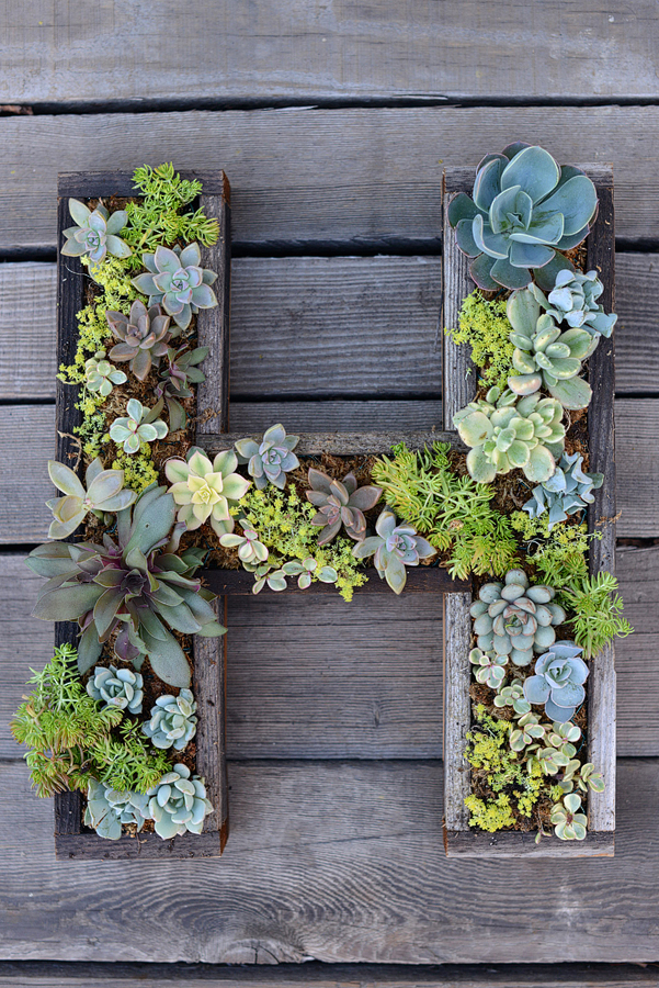 Wall-mounted-succulent-letter-diy