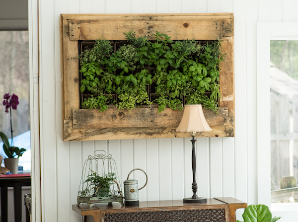 Williams-sonoma-inspired-herb-wall-planter