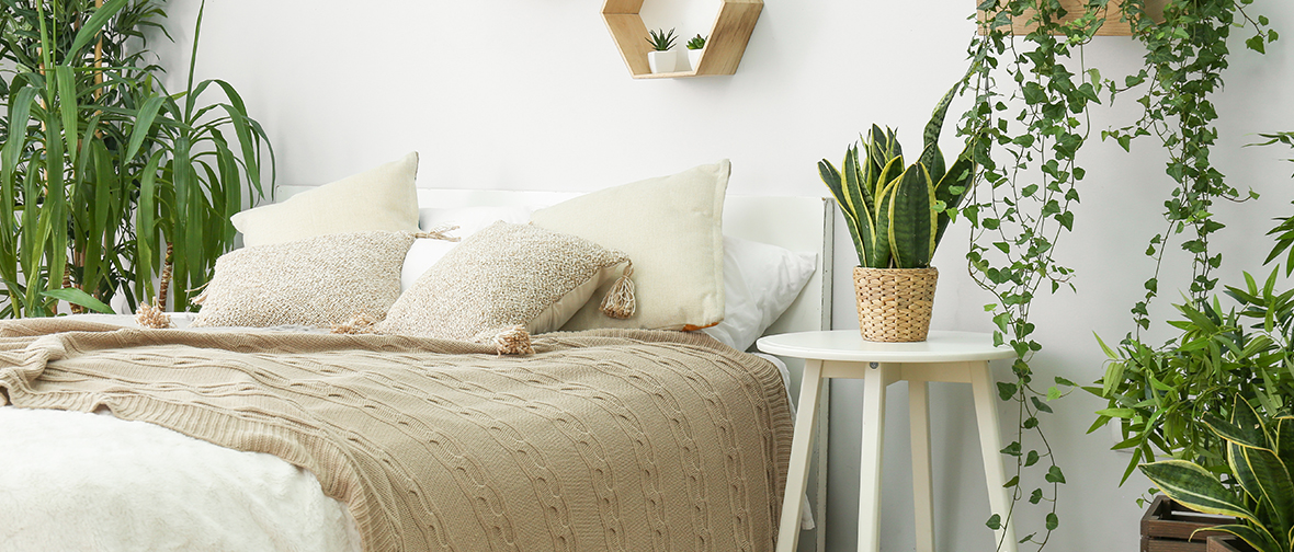 Plants placed near a bed