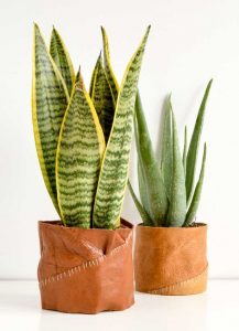 DIY Pots