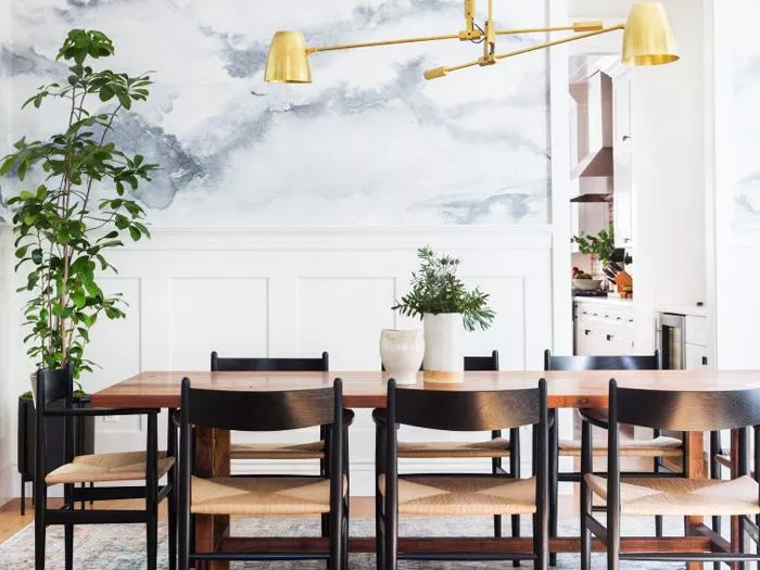 Bright and modern dining room with house plants