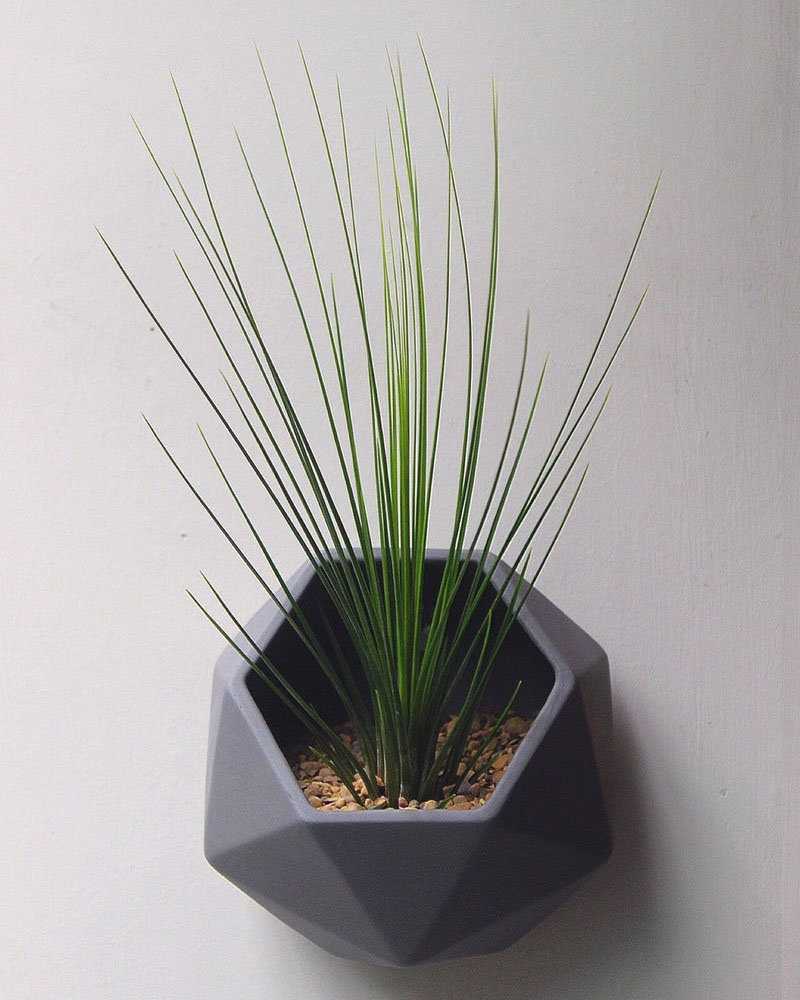 Dark-grey-ceramic-wall-mounted-planter-300317-157-04