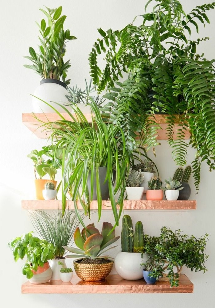 dispaying houseplants (4)