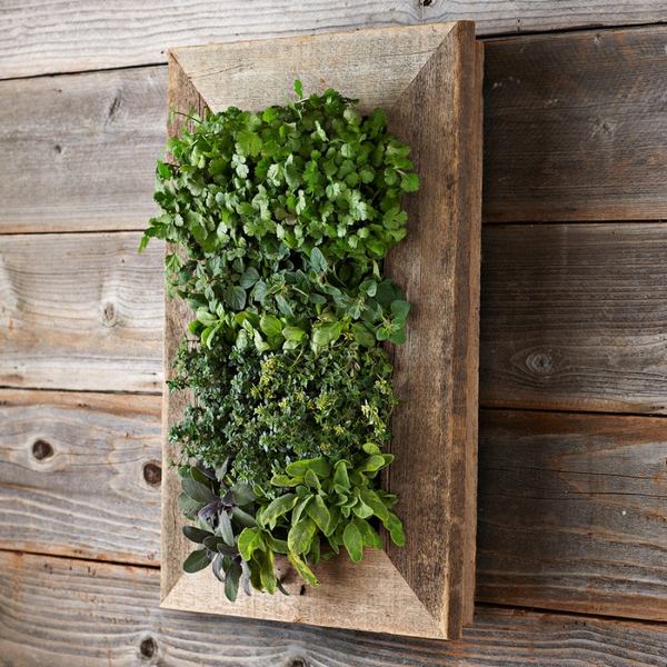 Hanging-diy-living-wall-planter-ideas-beautiful-indoor-vertical-garden