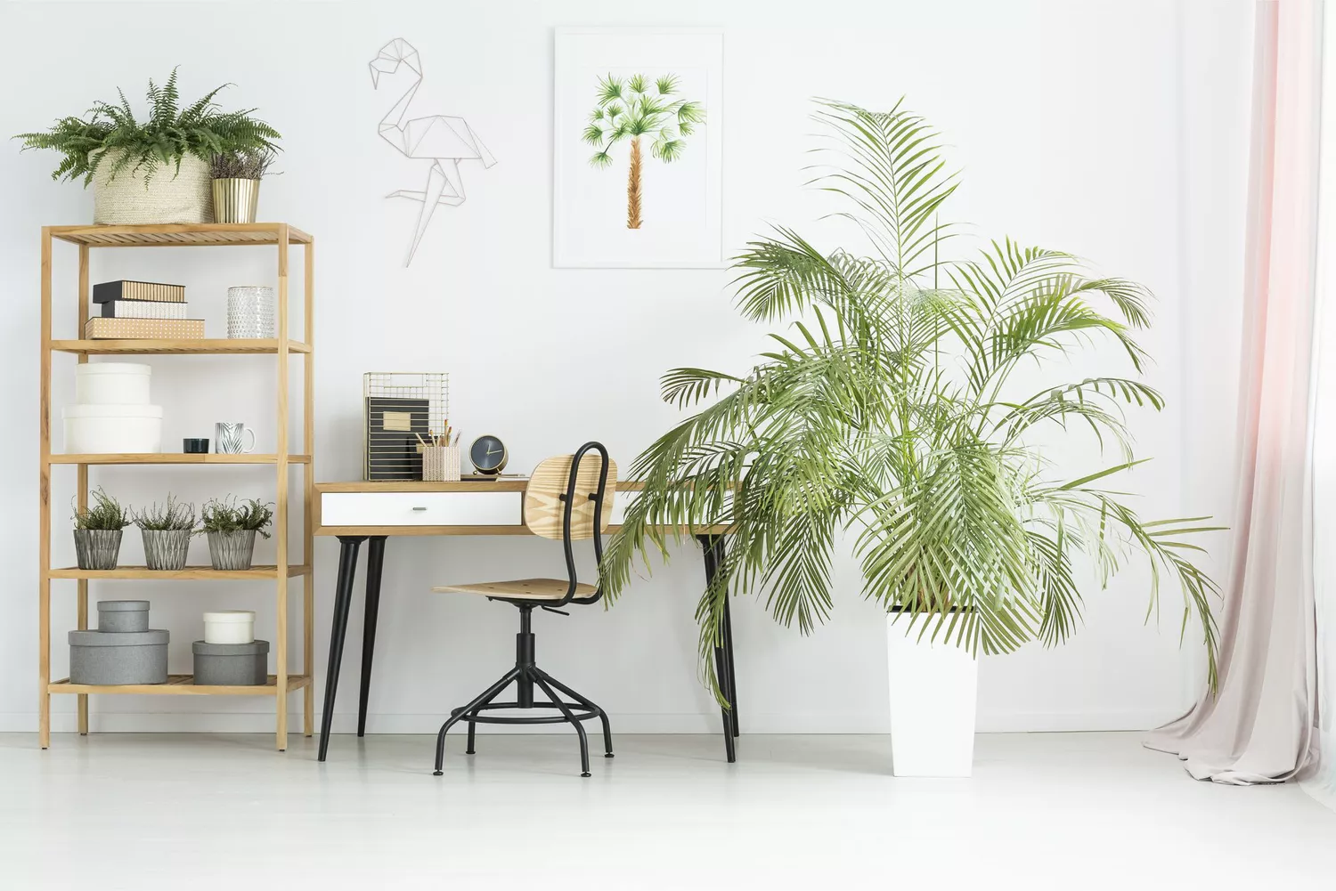 Workspace with indoor palm tree