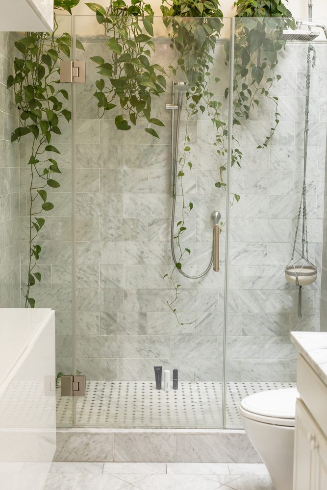 A tiled shower with a clear glass door.  On a shelf in the shower, sit four pothos plants with trailing vines trailing down.