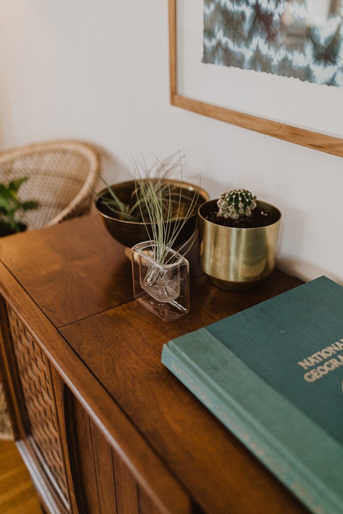 Air plant in a glass jar on a wooden table.  Next to the air plant is a cactus in a gold pot.