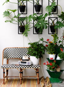 Tropical Indoor Plant Decorating Ideas