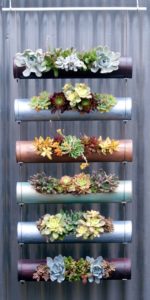 succulent plant decor idea 10