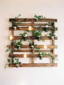 succulent plant decor idea 8