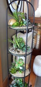 succulent plant decor idea 9