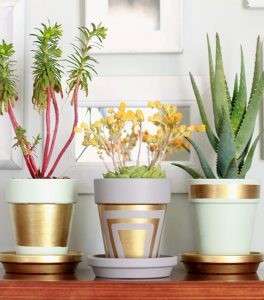 DIY Pots