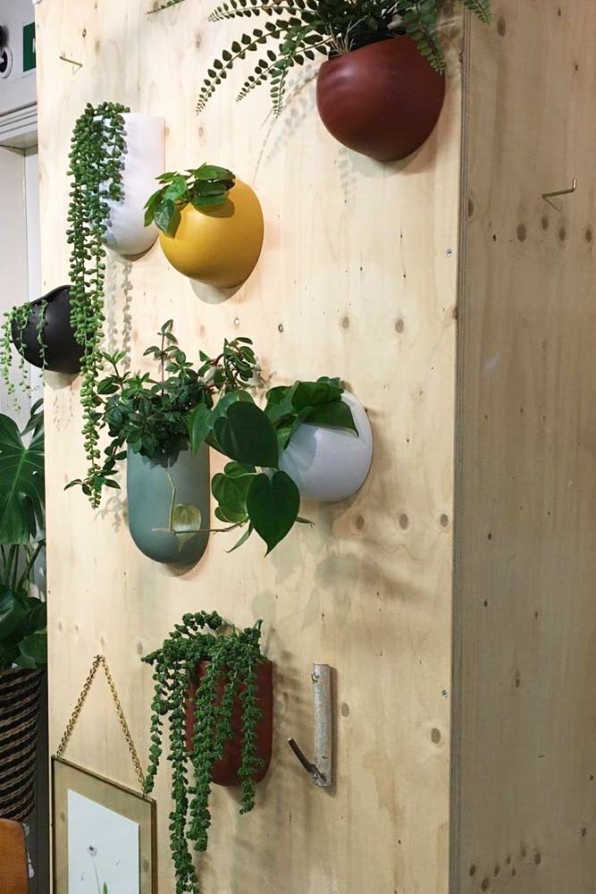 Wall-planter-pots-colorful-ceramics-mounted