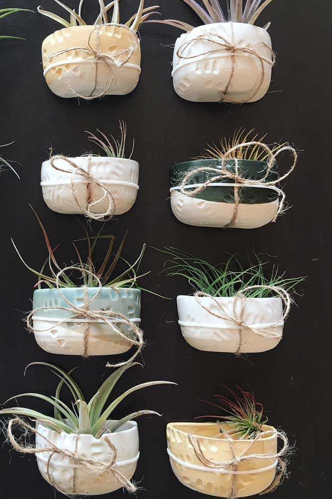 Wall-planter-pots-half-color-ceramics-mounted